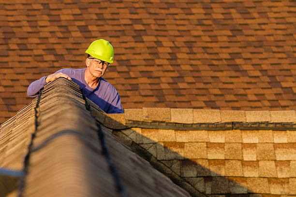 Best Roof Maintenance Services  in Jefferson, IA