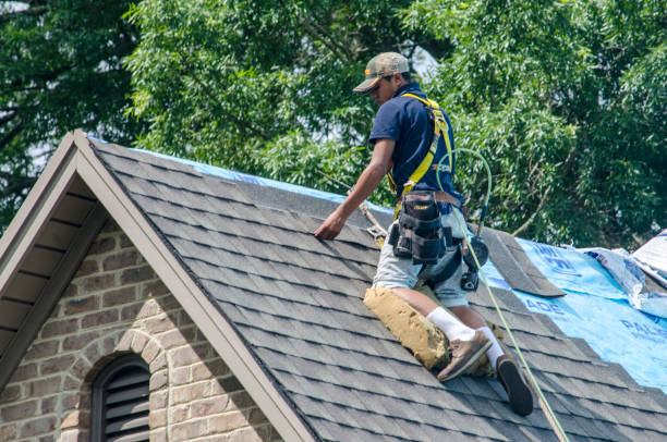 Best Roof Gutter Cleaning  in Jefferson, IA
