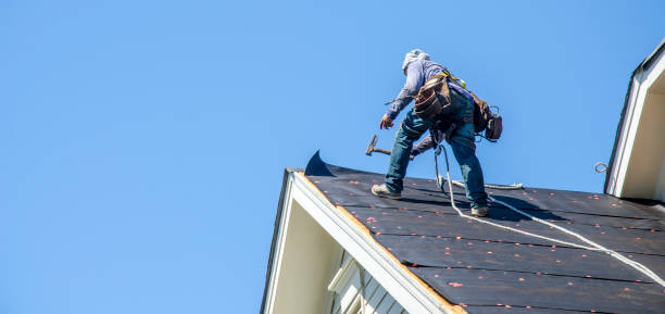 Best Roof Leak Repair  in Jefferson, IA